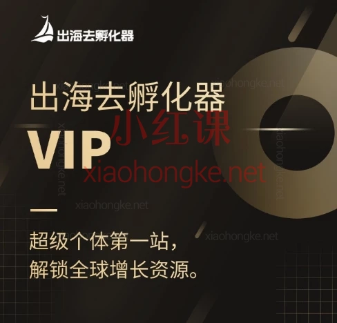 出海去孵化器会员课🔥《AI时代,一人公司全球创富指南》🔥