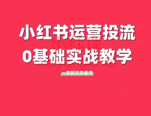 一觉智投李老师小红书运营投流实战课,全网最真实、零基础速成小红书运营&投放·精华课!