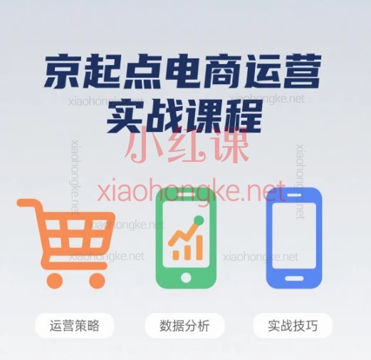 京起点电商运营实战课程,零基础→进阶高手!这套课太宝藏了💎