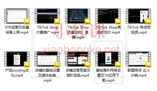 2025跨境深蓝海TikTok Shop 系统班 04.16期：新手变大神！搞钱变现系统班💸