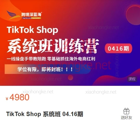 2025跨境深蓝海TikTok Shop 系统班 04.16期:新手变大神!搞钱变现系统班💸