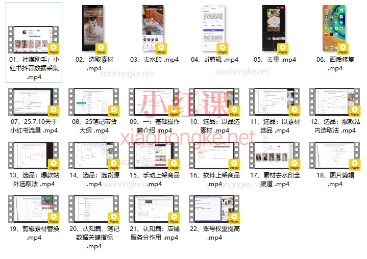 2025小红书实战方法:从0到1爆款带货,轻松起号变现