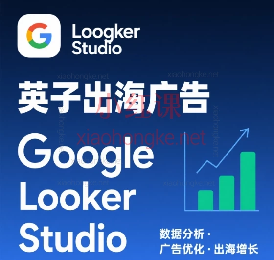 2025英子出海广告·Google Looker Studio让你的数据会说话!📊