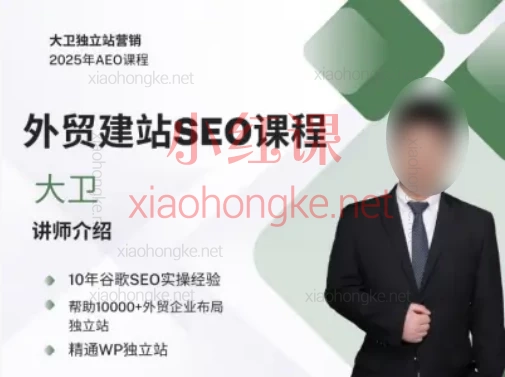 大卫B2B外贸独立站建站+谷歌SEO,从域名解析、Yoast插件使用、速度优化、Schema标记与外链获取方法