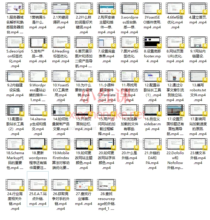 大卫B2B外贸独立站建站+谷歌SEO,从域名解析、Yoast插件使用、速度优化、Schema标记与外链获取方法