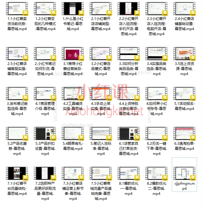 子鹏小红书商城流量变现课实操课，从0到1掌握小红书电商运营秘籍！