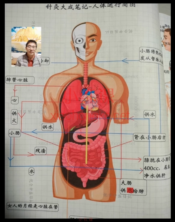 🌟【筑基共修实验室】全网超治愈灵性成长课!新手也能轻松入门✨