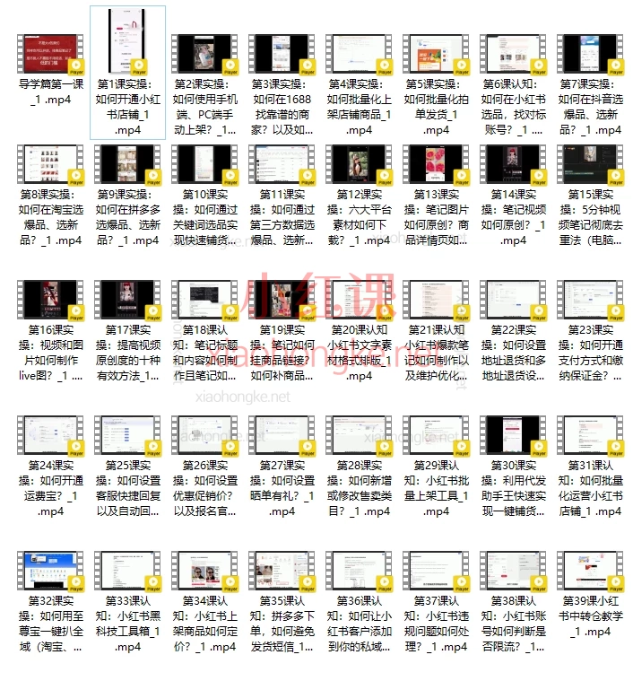 柚柚小红书无货源电商课程·从0到1实战指南