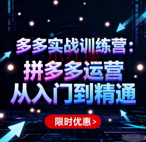 多多实战训练营,20+节实战课,从小白到爆单高手!