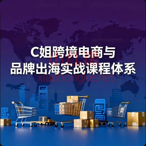 C姐跨境电商与品牌出海实战课,带你玩转亚马逊+社媒营销!