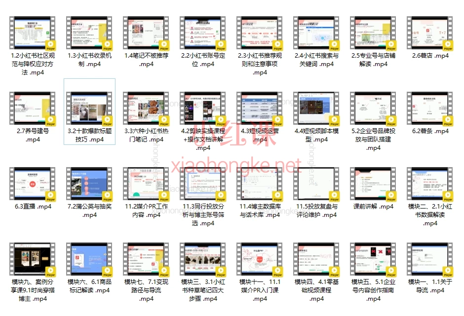 小红书运营 2.0课程：从入门到精通，打造高流量高转化的爆款账号