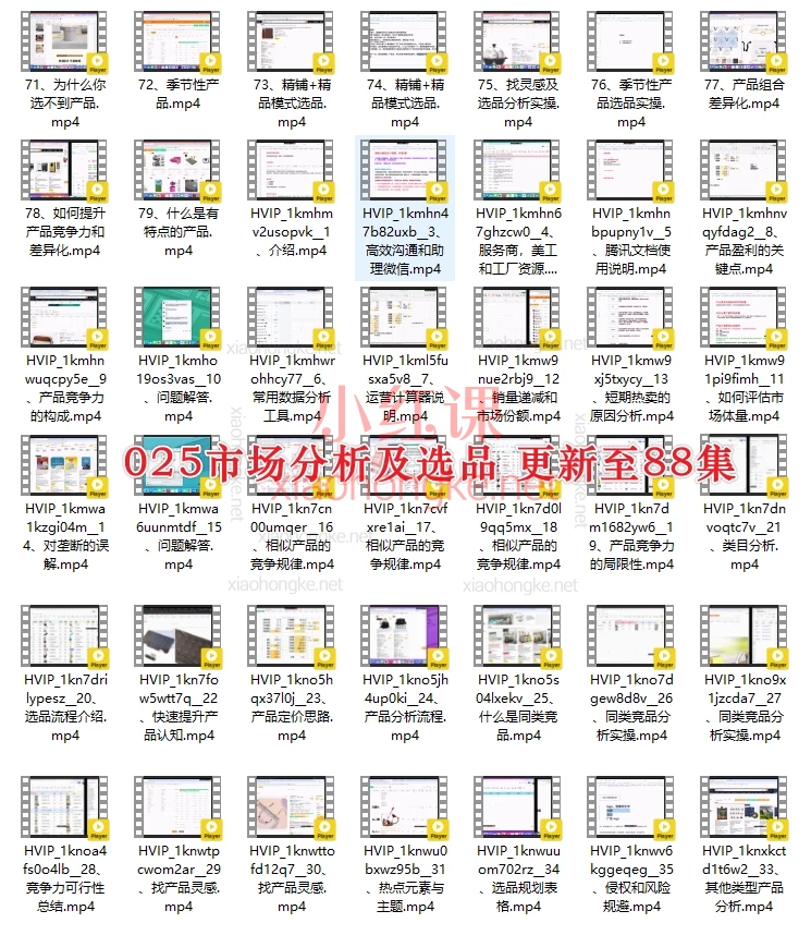 2025年HankWen亚马逊跨境电商运营大师课|零基础到高阶实战·广告+选品+数据全解析