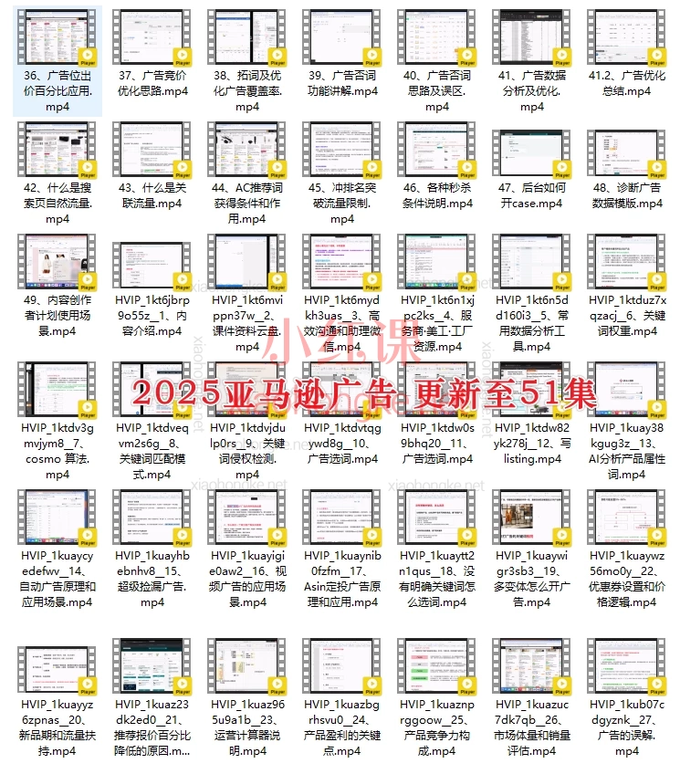2025年HankWen亚马逊跨境电商运营大师课|零基础到高阶实战·广告+选品+数据全解析