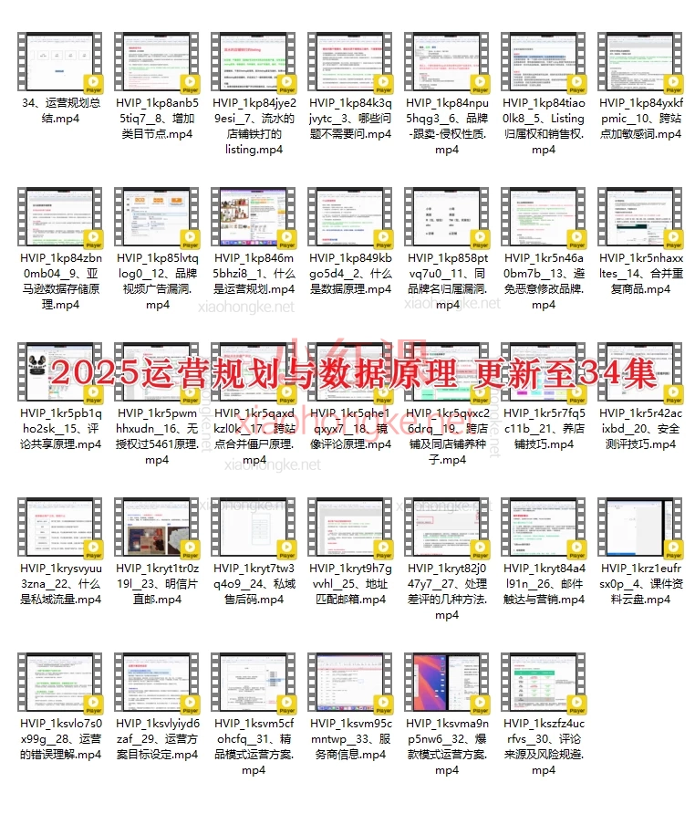 2025年HankWen亚马逊跨境电商运营大师课|零基础到高阶实战·广告+选品+数据全解析