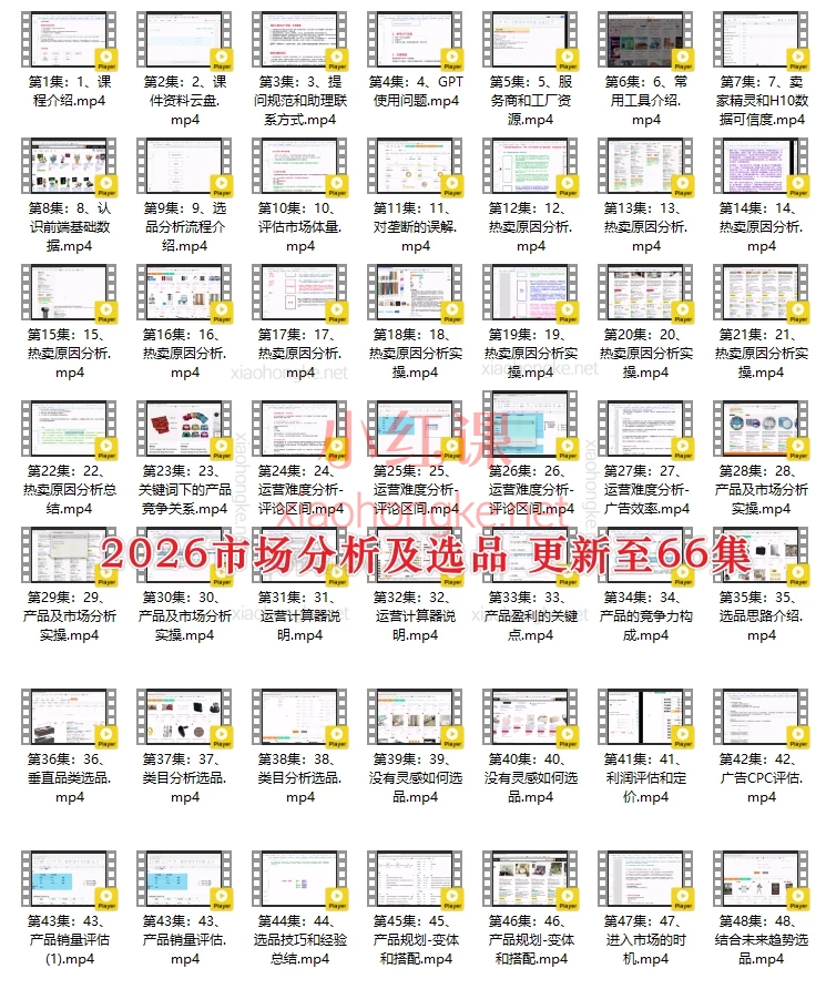 2025年HankWen亚马逊跨境电商运营大师课|零基础到高阶实战·广告+选品+数据全解析