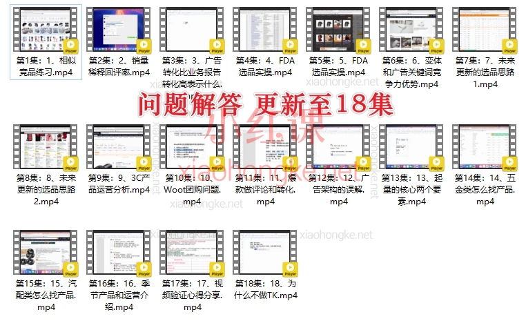 2025年HankWen亚马逊跨境电商运营大师课|零基础到高阶实战·广告+选品+数据全解析