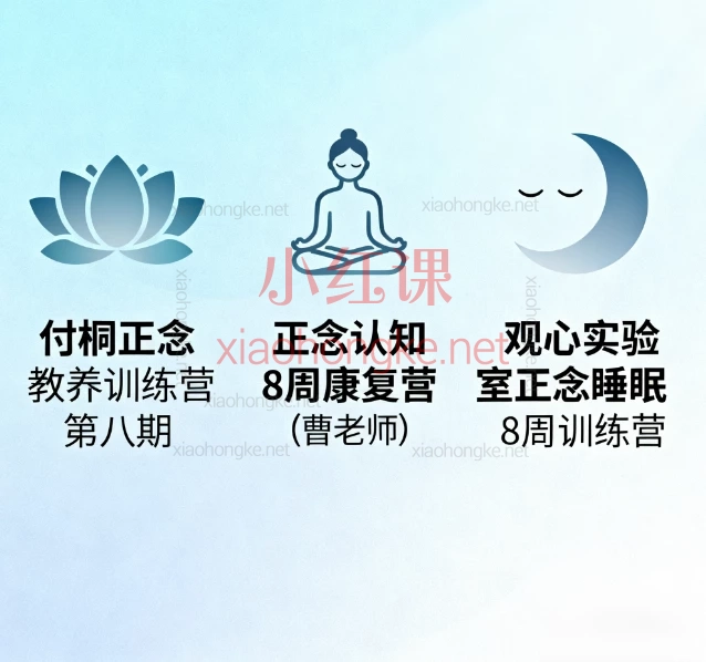 观心实验室:付桐正念教养训练营第八期+正念认知8周康复营(曹老师)+正念专注力,教养+专注力+认知康复,一站式解决焦虑/失眠/亲子难题
