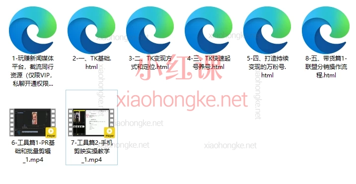 🔥 TK老虎会｜0基础玩赚TikTok，快速起号+带货变现！​
