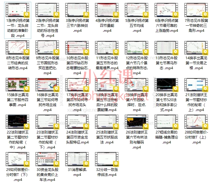 2025📈 从小白到高手!《大鹏擒龙宝典》实战课带你捕捉涨停龙头股!
