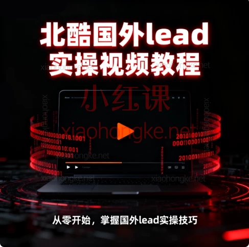 从0到1玩转海外项目,北酷老师的Lead实操课真的绝了!🔥