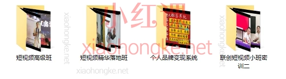 2025总裁专属德元老师短视频IP变现系统线下课合集