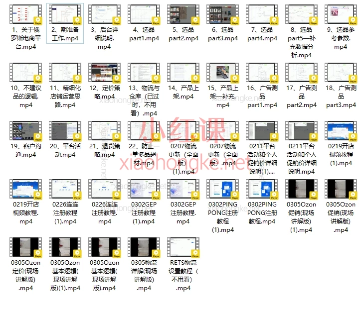 壹壶电商:小张同学Ozon俄罗斯电商平台运营实战课,新手卖家必看宝藏教程!