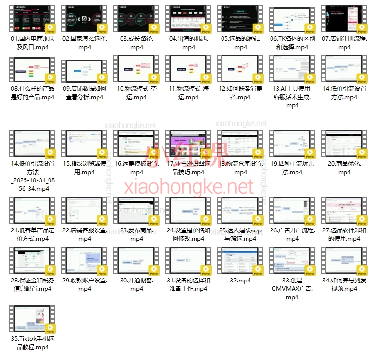 2025TikTok电商从0到1实战全攻略🔥【35节干货!从小白到大卖】TikTok跨境电商保姆级教程💰