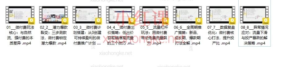 白凤电商第41期微付费玩法5.0,自然流+付费流完美结合指南