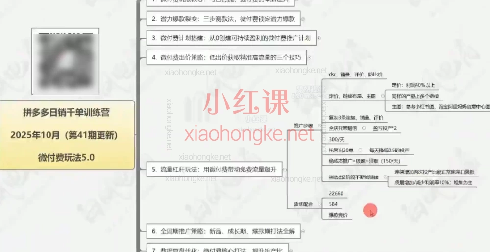 白凤电商第41期微付费玩法5.0,自然流+付费流完美结合指南