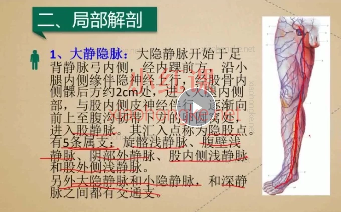 58套中医名家精华课程合集，零基础也能成为家庭健康守护者！