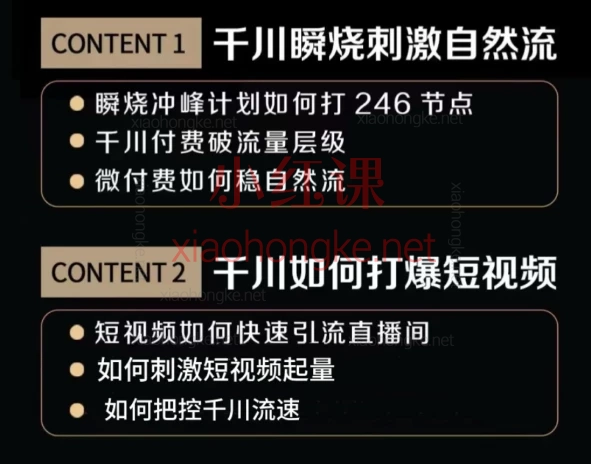 🔥【价值2980元】泽泽子千川打爆直播课2025年11月最新版|全程干货无废话,专治投流不起量!