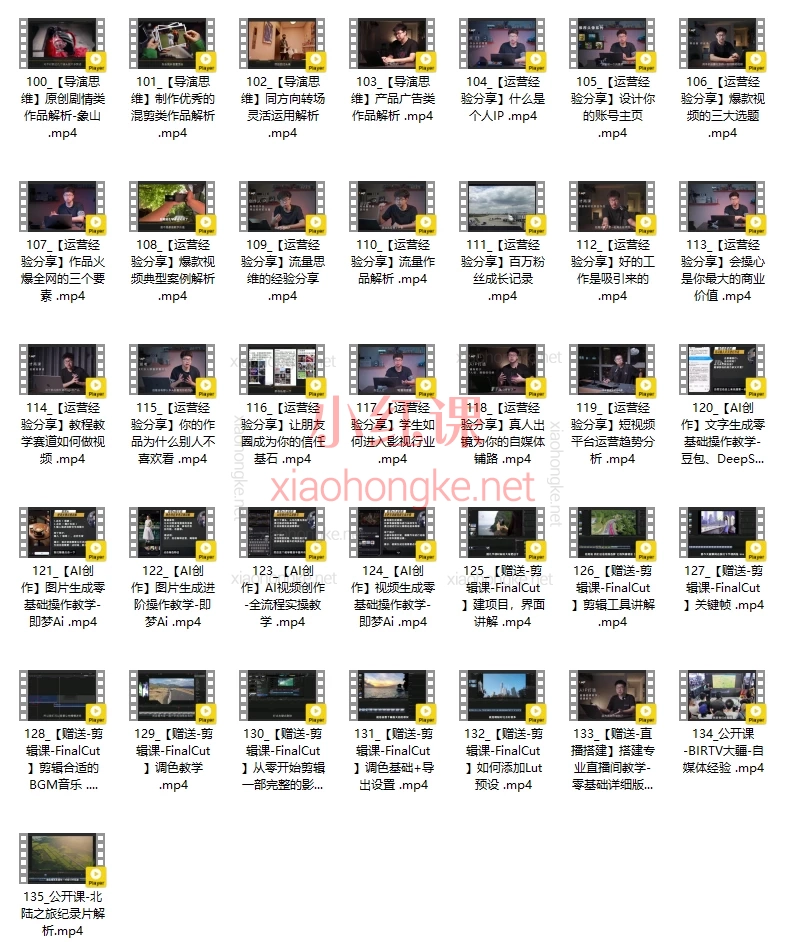 🔥【全能视频创作人】王松傲寒亲授！拍摄+剪辑+导演思维+运营+AI创作—从小白到大神！