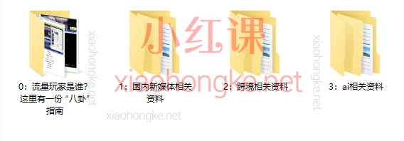 2025大光流量玩家【🔥2025内部资料包｜新媒体+跨境+AI天花板教程】