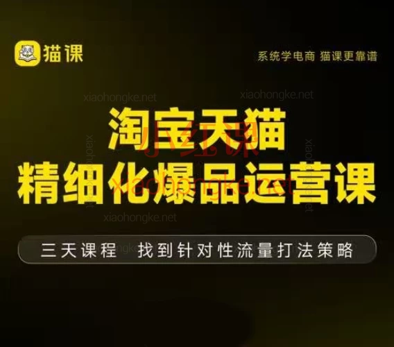 猫课子幽·淘宝天猫爆品运营线下课实录！淘宝运营大神都在学的精细化打法！📈🔥