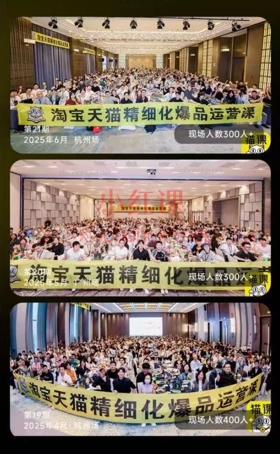 猫课子幽·淘宝天猫爆品运营线下课实录！淘宝运营大神都在学的精细化打法！📈🔥