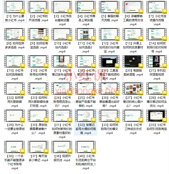肉肉红书的第一个专栏:从0到1精通开店、选品、爆文与引流