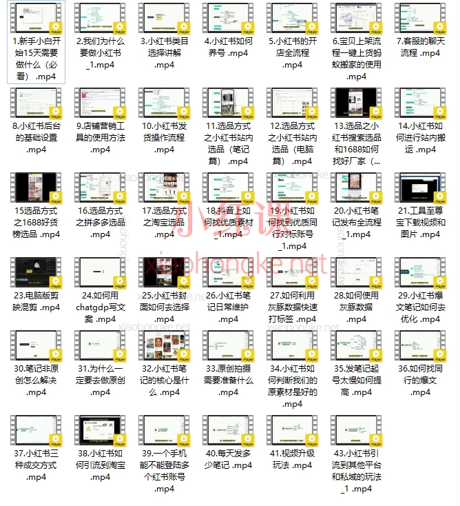 向阳小红书运营课:从0到1精通开店、选品、爆文与引流