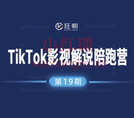 2025盗坤第19期TIKTOK影视解说陪跑营,30课从0到1变现全攻略🎬