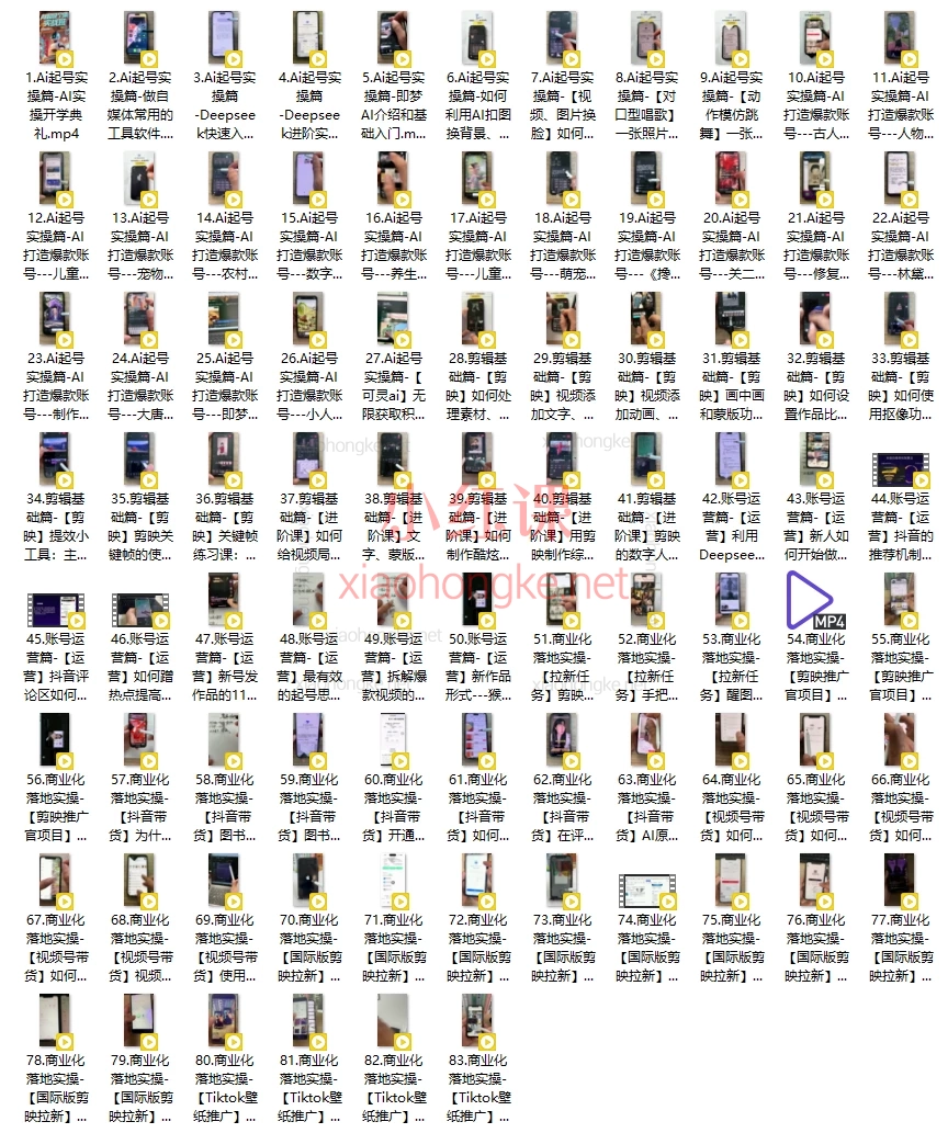 【小王子老师主讲🔥短视频全能王养成!AI起号+剪辑+运营+变现,保姆式精品课】