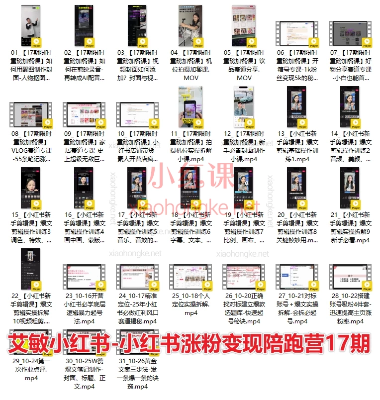 2025艾敏120天小红书涨粉变现训练营Pro版(11期 + 9期精华)0粉逆袭爆款博主,玩转内容搞钱全链路!💯