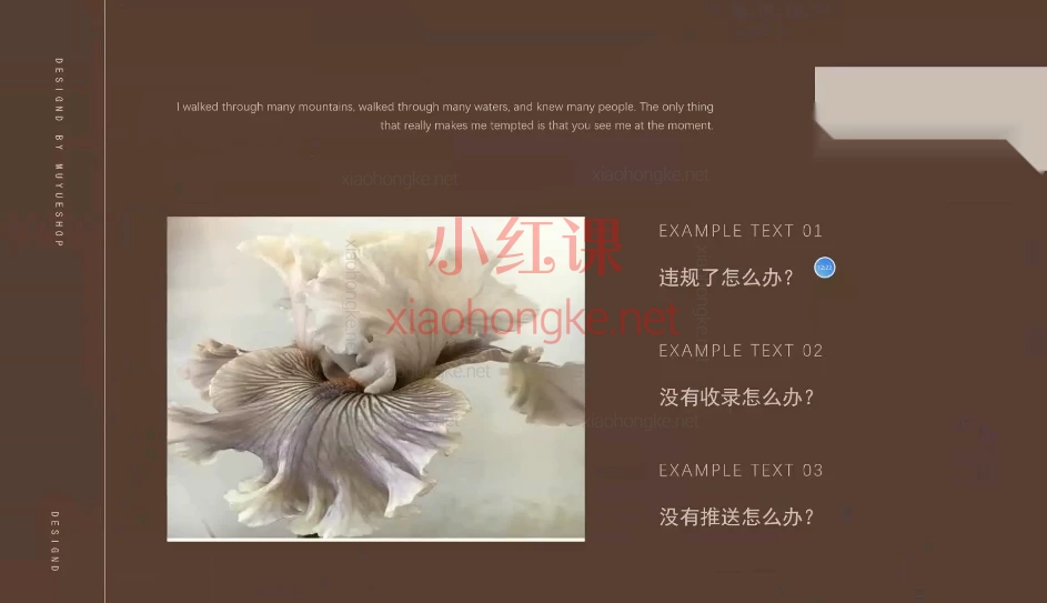 星屿学苑·小红书进阶培训 | 系统掌握平台运营，打造可持续增长账号