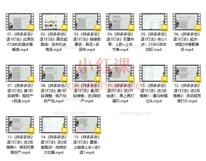 🔥叮当会52期独家揭秘|拼多多“进2退1”打法,让你流量稳升、投产翻倍!