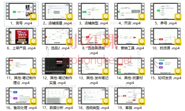 红商联盟言校长|小红书带货实操高阶训练营|零基础成为爆单高手