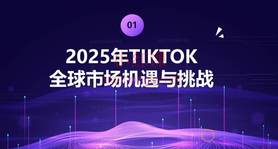 2025🔥保姆级教程|TikTok跨境电商从0到1,手把手带你赚美金💸