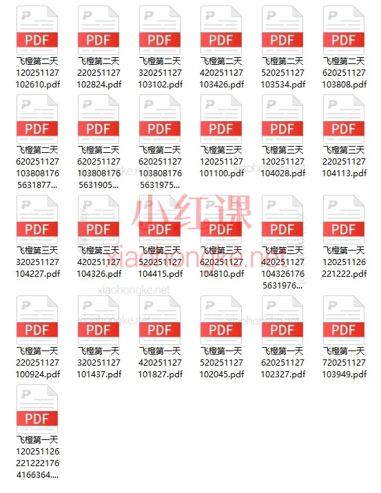 2025飞橙营销增长系统5.0：🔥老板必学｜2025短视频获客终极公式：算法+定位+海量内容