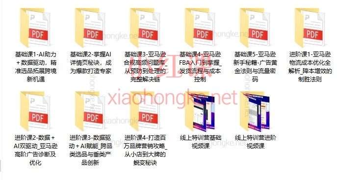 🔥2025亚马逊杭州峰会基础+进阶全覆盖，附全套工具+视频，新手到高手一本通！💻