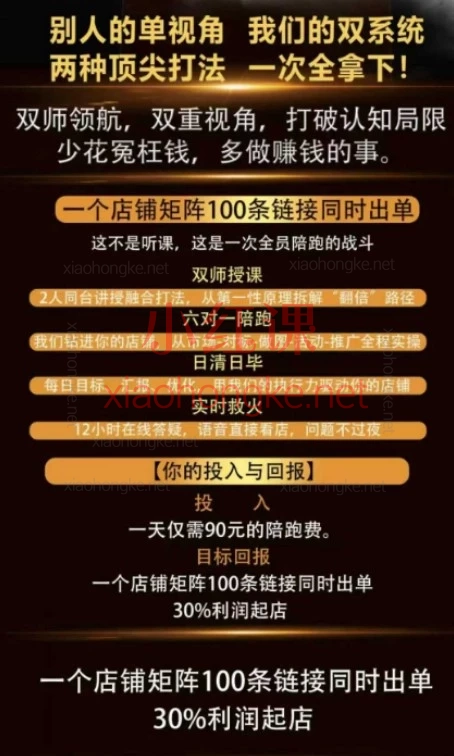 2025年12月13日王校长标哥电商-疯狂活动流——【不烧钱也能爆单！拼多多多链接“摇钱树”玩法大公开】