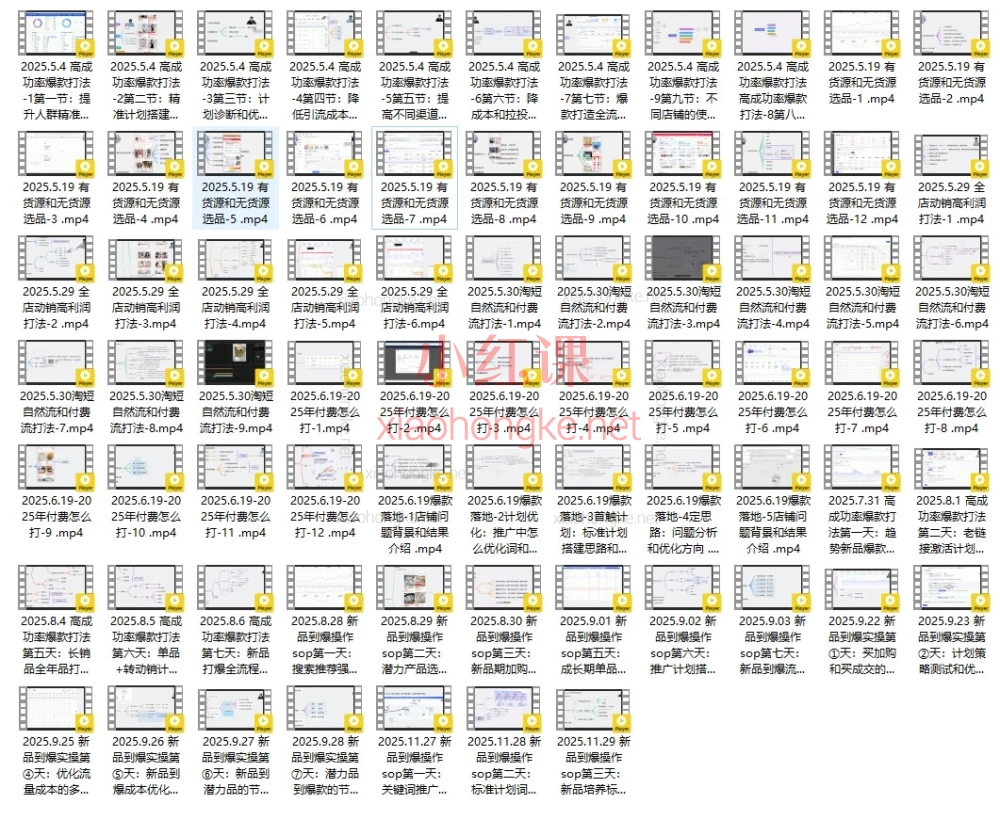 2025年12月鹏讲电商-淘宝私家班🔥从小白到爆款，一篇说透！