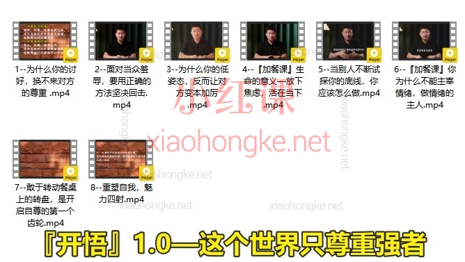 子非鱼开悟2.0升级版——人生进阶指南+『开悟』1.0—这个世界只尊重强者