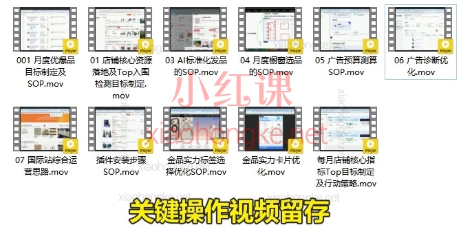 🔥 小白也能学会！2025年11月份张国儒（儒说）国际站高薪运营都在上的“优质买家增长”实战课（附全套资料）